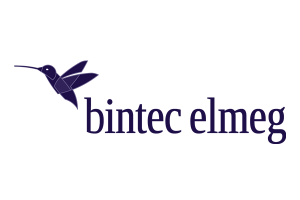 Bintec Elmeg